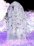 image of grave number 424964